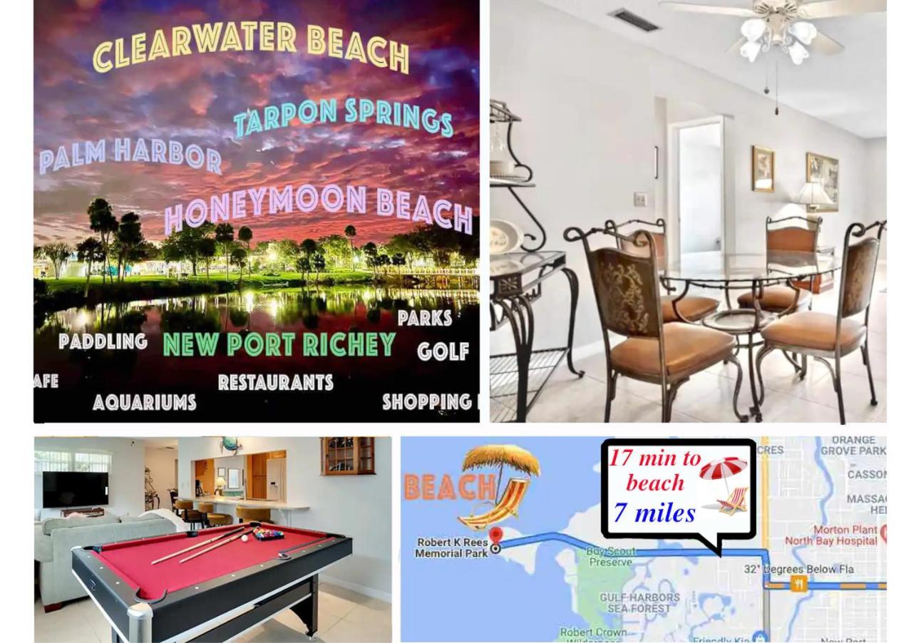 Villa "Impressa" - Billiard,Ping-Pong Table, Lanai, Fire Pit, Bbq Grill, View, Patio, Back Yard New Port Richey Eksteriør bilde