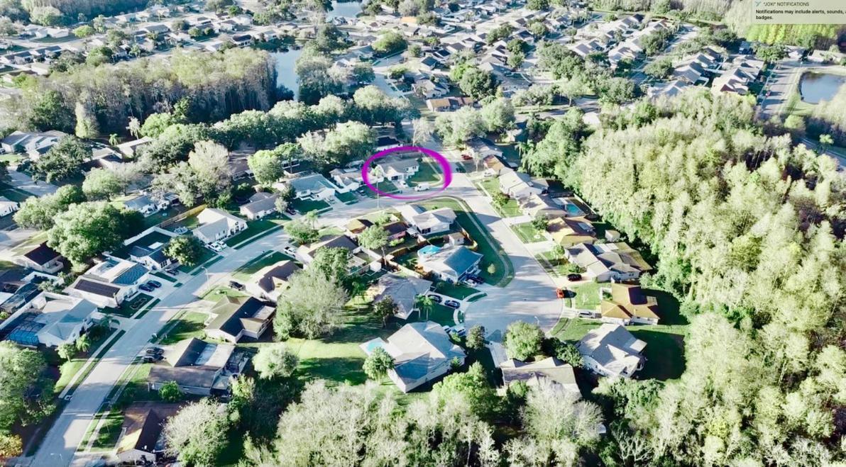 Villa "Impressa" - Billiard,Ping-Pong Table, Lanai, Fire Pit, Bbq Grill, View, Patio, Back Yard New Port Richey Eksteriør bilde